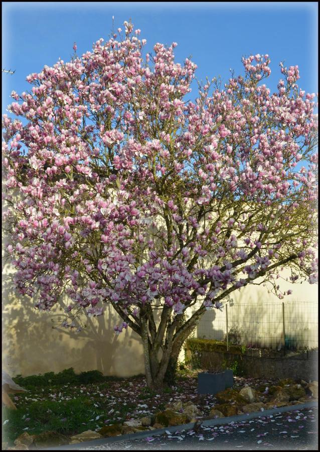 Gites Jardin-darcy Bois Extérieur photo