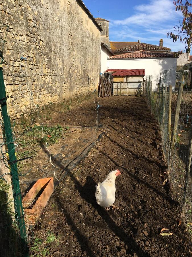 Gites Jardin-darcy Bois Extérieur photo