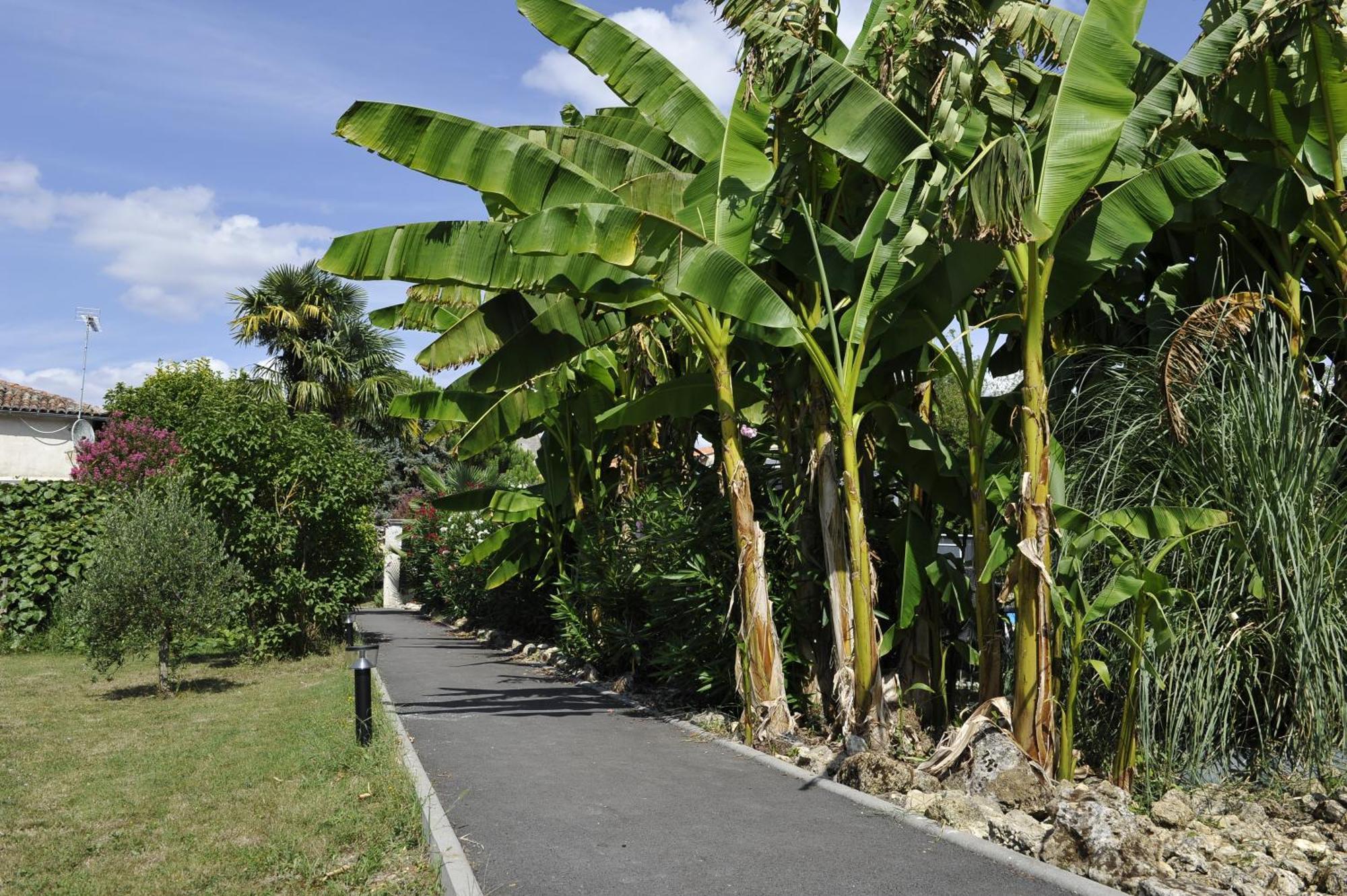 Gites Jardin-darcy Bois Extérieur photo