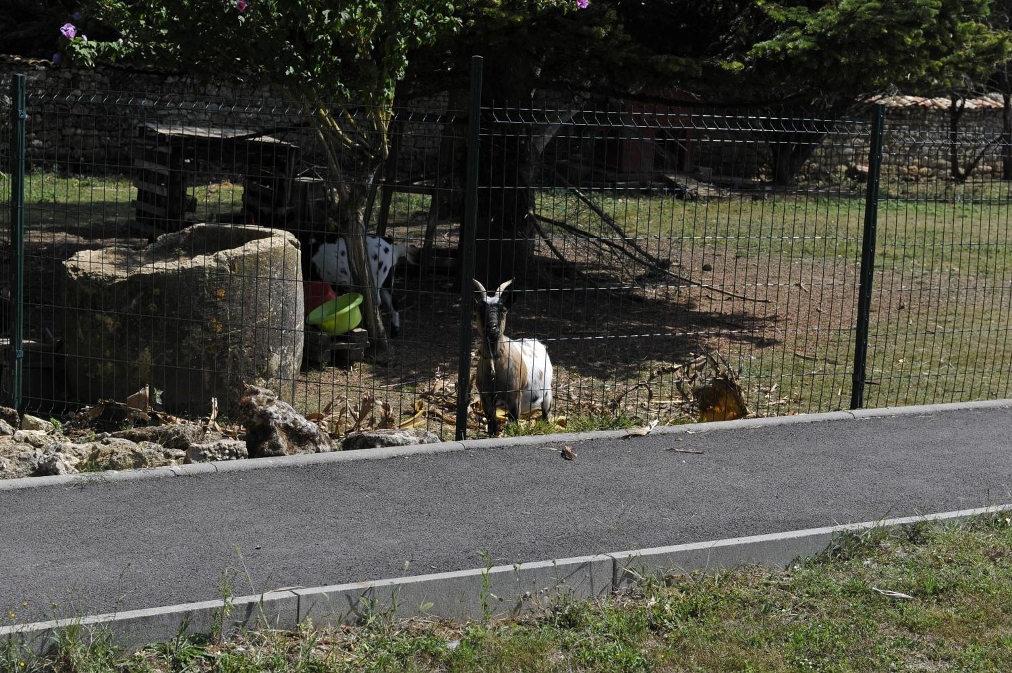 Gites Jardin-darcy Bois Extérieur photo